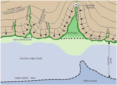 Submarine Groundwater Discharge: Updates on Its Measurement Techniques, Geophysical Drivers, Magnitudes, and Effects